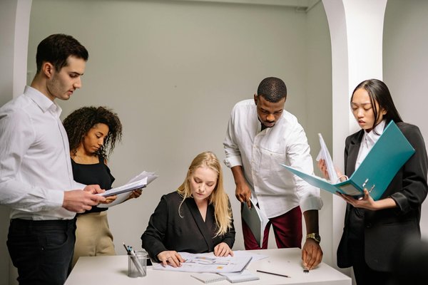 Why professional tax accountants matter for businesses and individuals ?